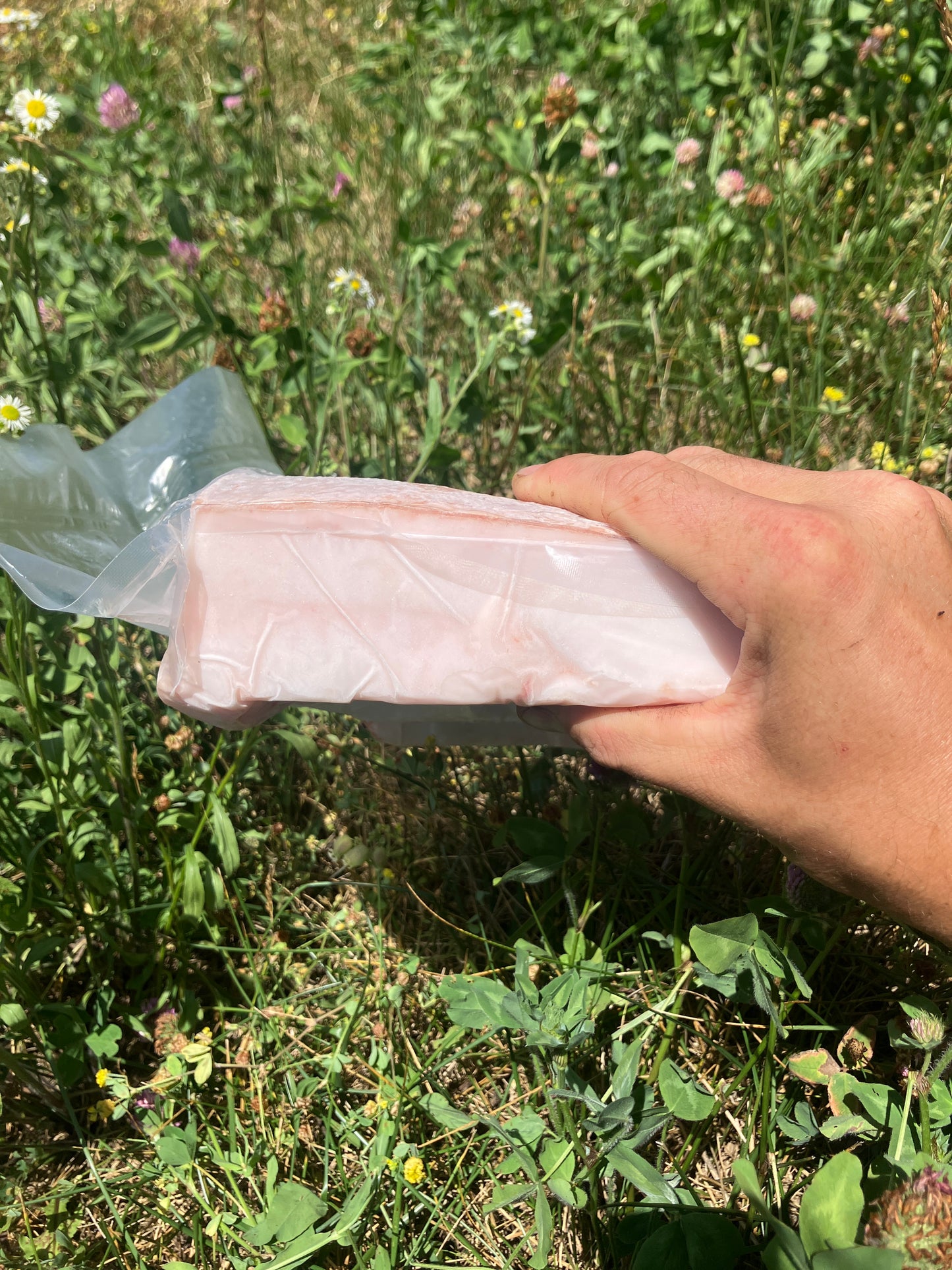 Mangalica back fat with skin, Mangalitsa fat with skin 