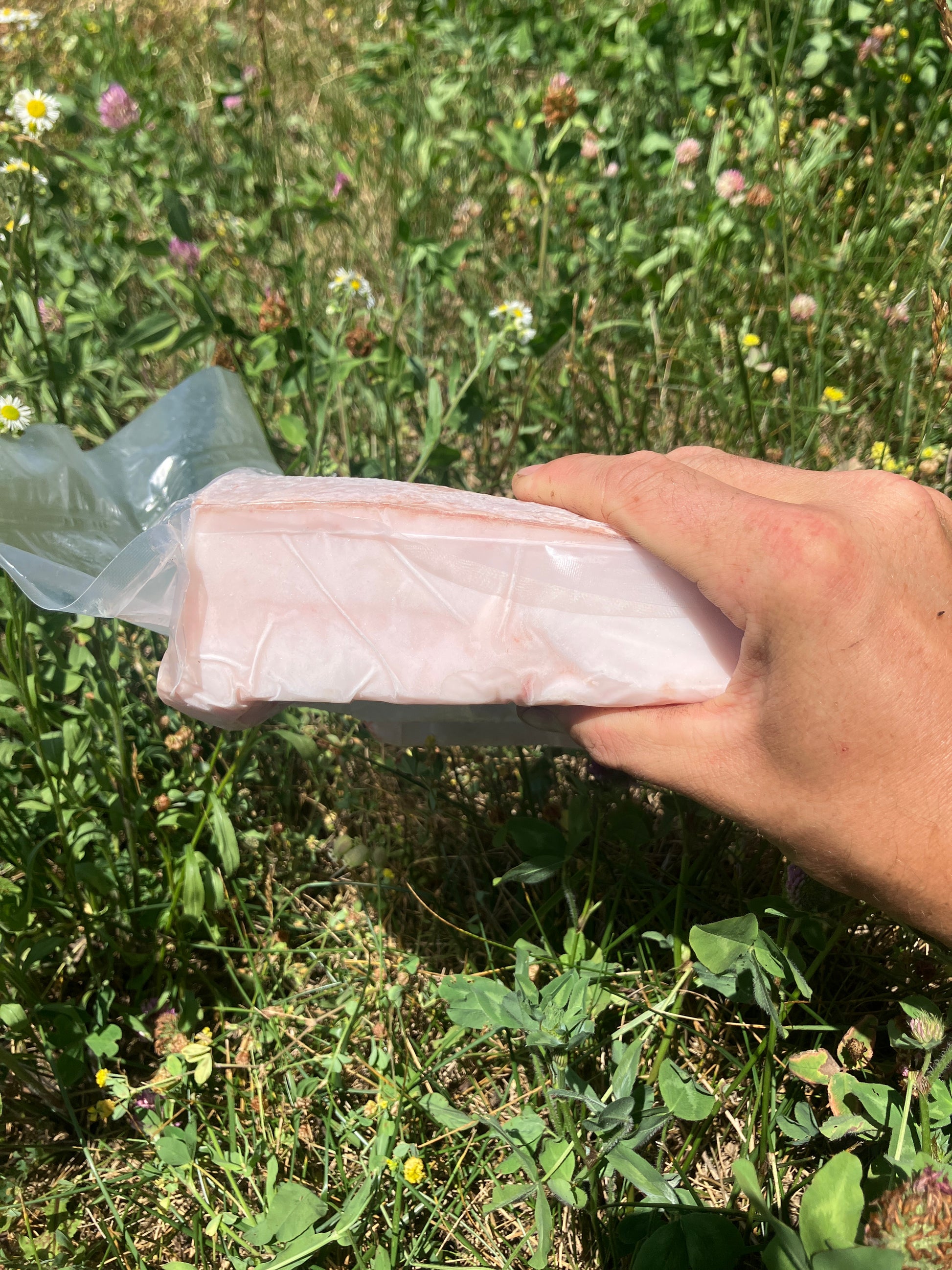 Mangalica back fat with skin, Mangalitsa fat with skin 