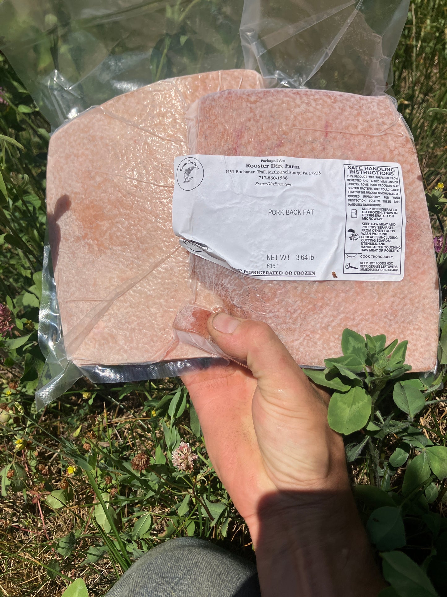 Mangalica back fat with skin, Mangalitsa fat with skin 