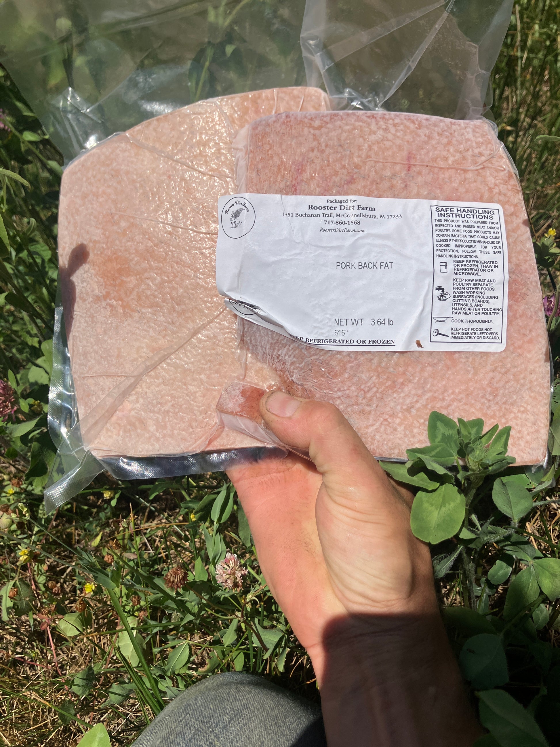 Mangalica back fat with skin, Mangalitsa fat with skin 